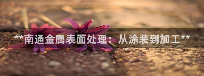 美高梅酒店英文名