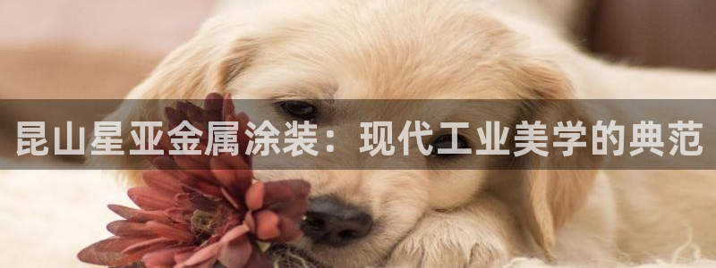 美高梅酒店填海