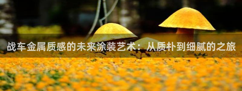 美高梅会员卡怎么用