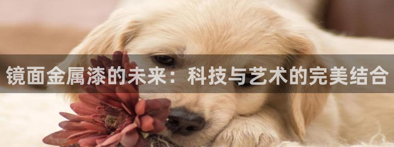 美高梅酒店在中国有几家