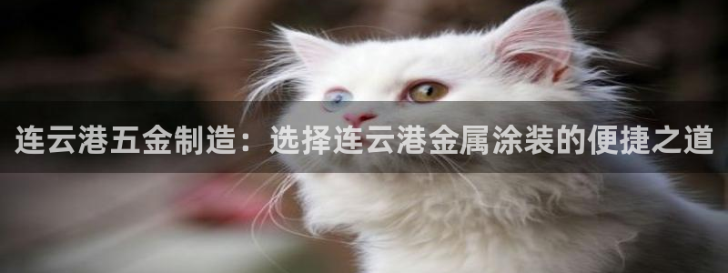 美高梅属于哪个集团