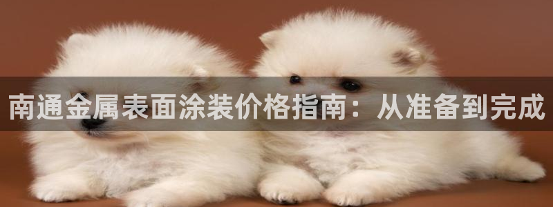 美高梅狮王会员卡