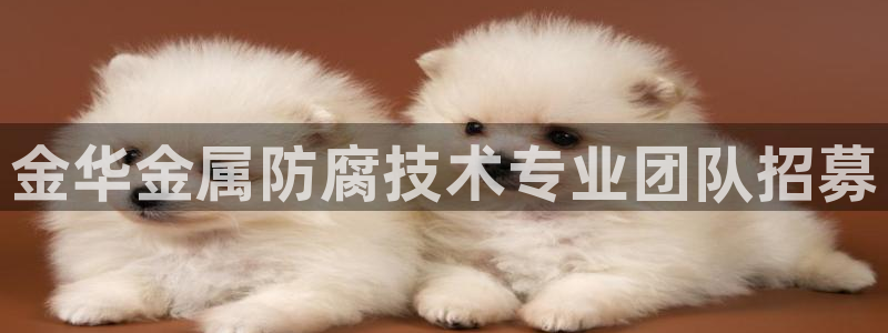 美高梅筹码图片高清