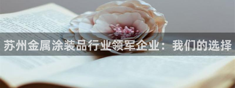 美高梅酒店入住率