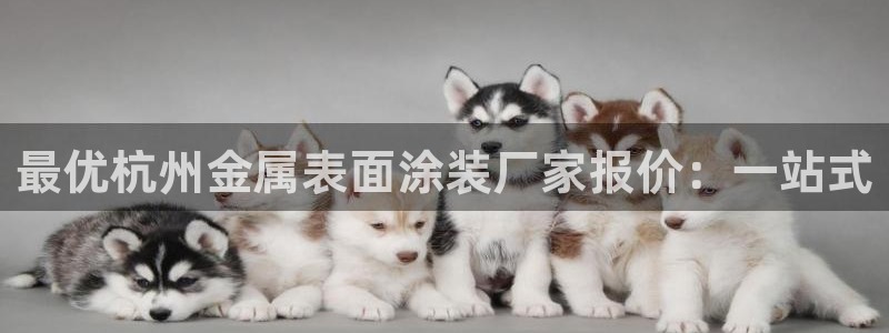 美高梅会员卡在哪里办