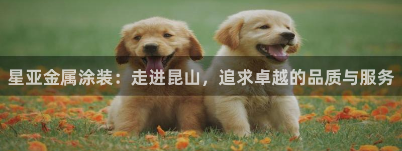 美高梅酒店特点