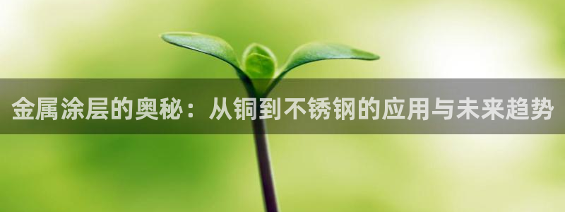 美高梅积分多少钱一分