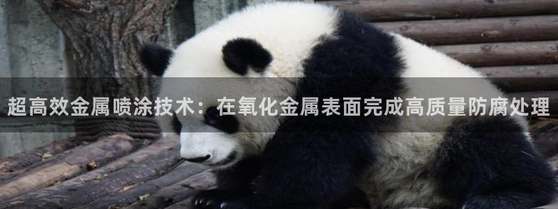 美高梅是做什么的品牌