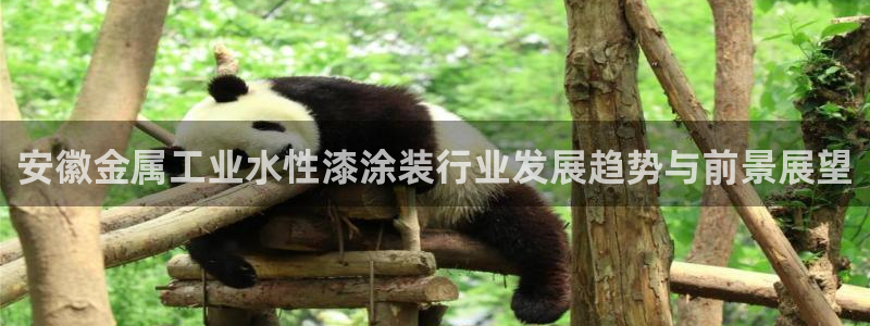 美高梅金狮卡是什么卡