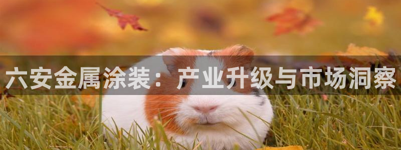 美高梅酒店分布