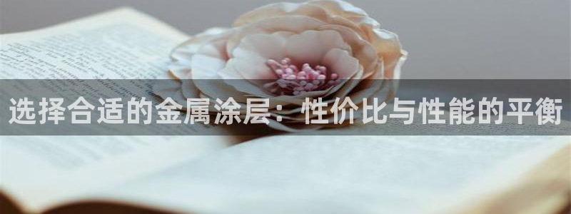 美高梅酒店是谁的