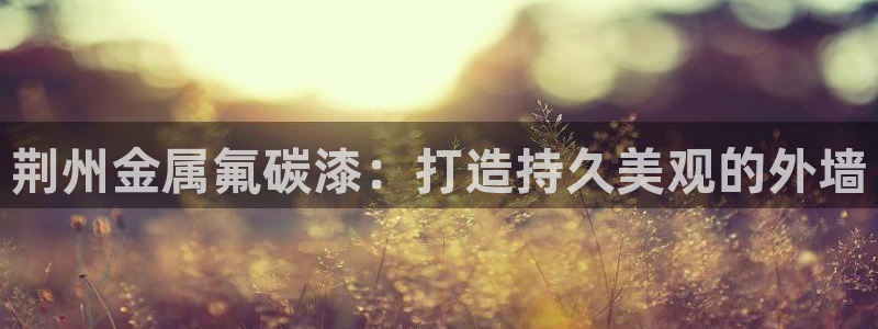 美高梅餐饮店在哪里：荆州金属氟碳漆：打造