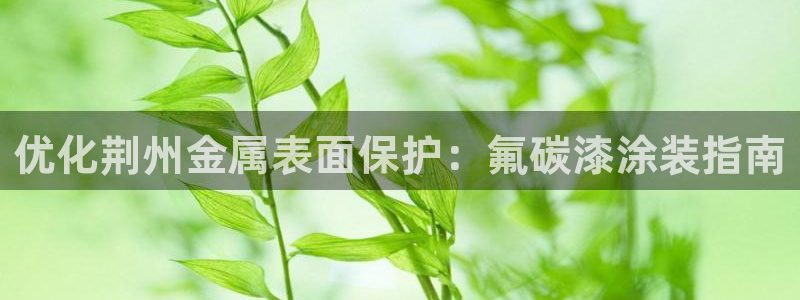 美高梅是谁的酒店：优化荆州金属表面保护：
