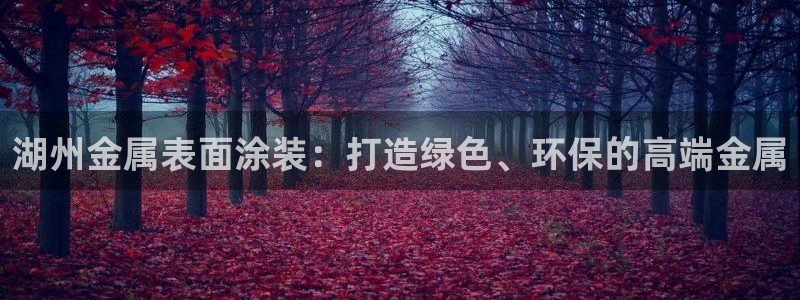 美高梅容纳多少人：湖州金属表面涂装：打造