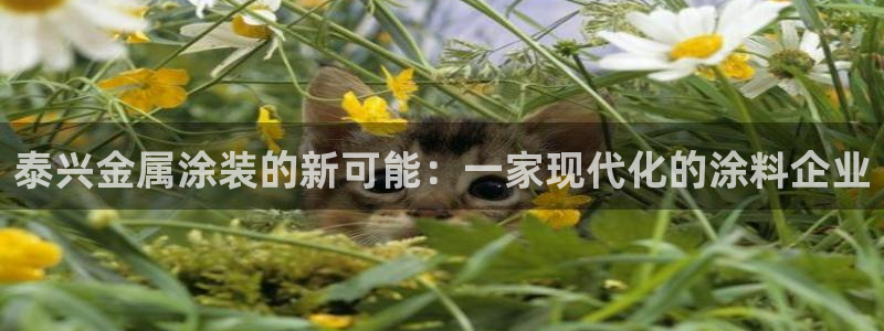 美高梅酒店工作怎么样