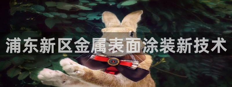 美高梅黑我钱怎么办